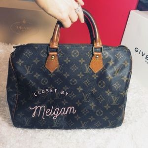 LV Monogram Speedy